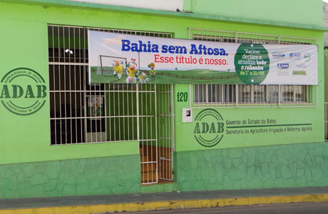 VACINAÇÃO CONTRA FEBRE AFTOSA ATÉ 31 DE MAIO