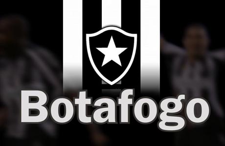20 VEZES: BOTAFOGO CAMPEÃO CARIOCA DE 2013