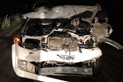 Animais soltos na pista causam acidente na BA-148 entre Brumado e Livramento 