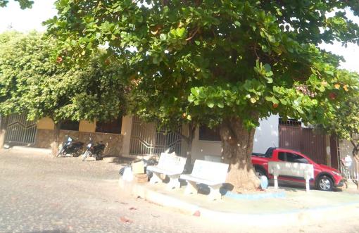 Brumado: Secretaria de Meio Ambiente alerta população sobre necessidade de autorização para corte ou poda de árvores em logradouros públicos 