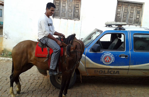 Rio do Antônio: Polícia Militar elucida furtos na zona rural do município; cavalo foi recuperado