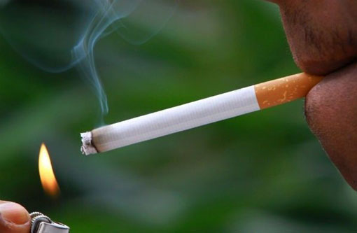 Segundo a OMS, consumo de tabaco caiu no mundo