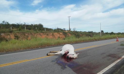 Tragédia: Taxista brumadense morre em acidente na BA-262