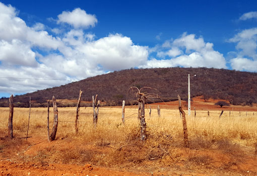 Começou o período de declaração do Imposto Territorial Rural (ITR)