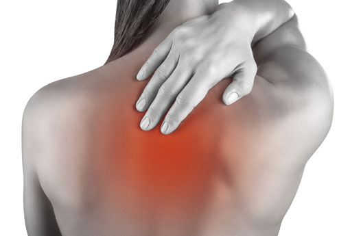 SESAB divulga nota de esclarecimento sobre o surto de Mialgia Agura na Bahia