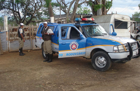 P.R.E APREENDE 11 ANIMAIS SOLTOS NA BA - 262