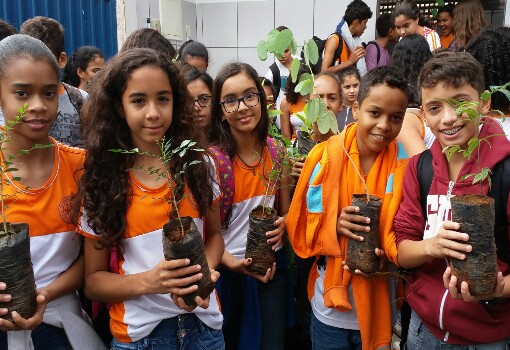 Brumado: Escola Municipal Professora Clarice Morais inicia projeto de arborização 