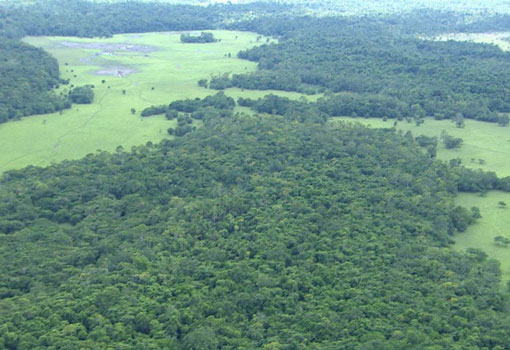 Amazônia: Juiz federal suspende qualquer decreto sobre extinção da Renca