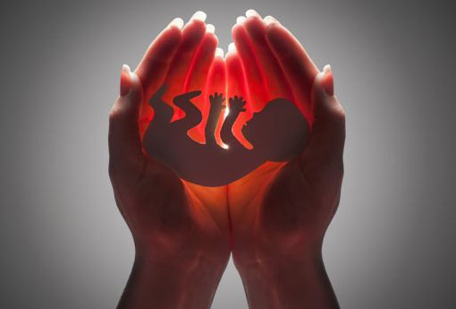 CNBB emite nota contra o aborto diante da decisão do STF