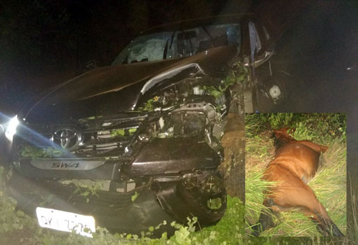 Brumado: automóvel colide contra cavalo próximo ao distrito de Itaquaraí; ocupantes do veículo não se feriram