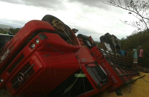 Livramento: Animal solto na pista causa acidente