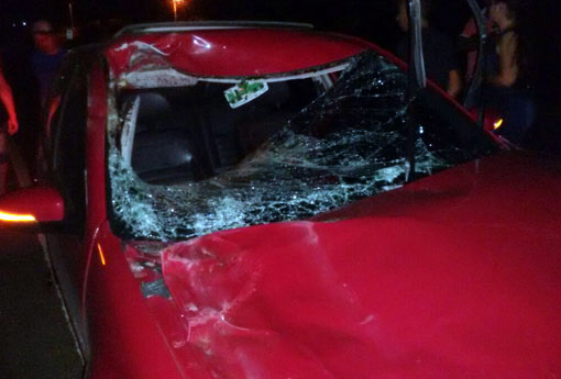 Jovem colide veículo contra cavalo na BA-148, na comunidade de Lagoa Funda