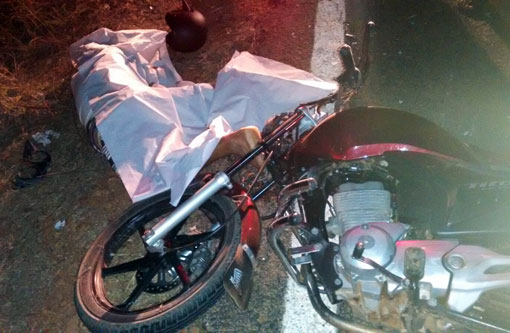 Dom Basílio: Motociclista morre após colidir contra cavalo