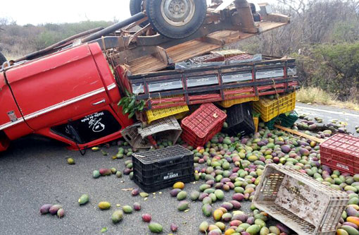 Dom Basílio: Caminhonete carregada de manga tomba na BA-148