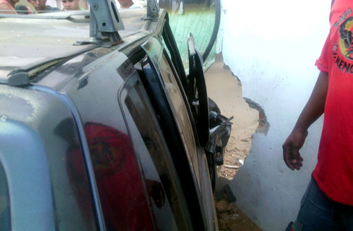 Brumado: Animais soltos em Rua causam acidente