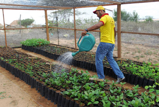 Banco do Brasil oferece descontos de 20% a 95% para liquidação de dívidas de produtores rurais