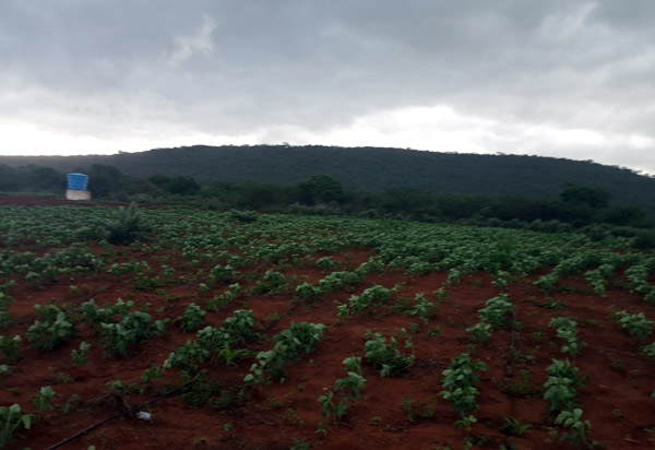 Convênios do Bahia Produtiva são assinados em Vitória da Conquista