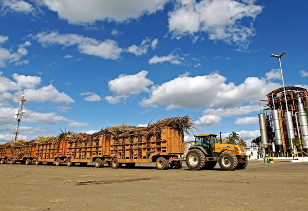 Agronegócio representa 24% da economia baiana