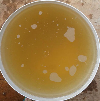 Moradores da Comunidade Lagoa do Arroz recebem água avermelhada na torneiras e solicitam solução da Embasa