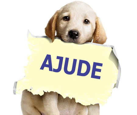 Brumado: Abrigo Dona Luiza precisa com urgência de doações