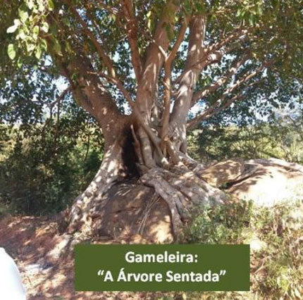 Brumado: alunos do Projeto Face Nova participaram da 14ª Semana de Museus