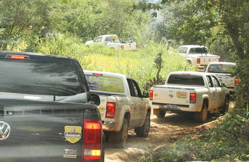 Fotos: Amarok In Tour 2014