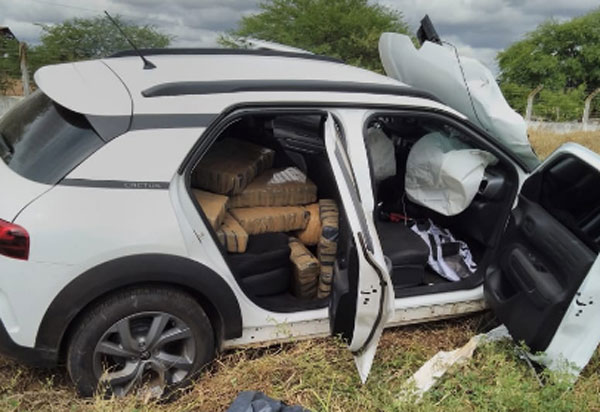 PM apreende mais de 247 quilos de maconha