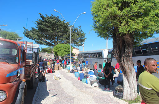 Café injeta R$ 16 milhões na economia de Aracatu