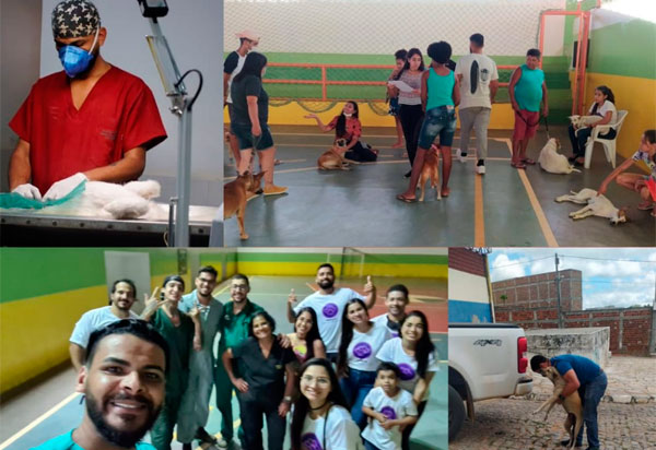 Aracatu: Castração solidária atendeu mais de 111 animais no município