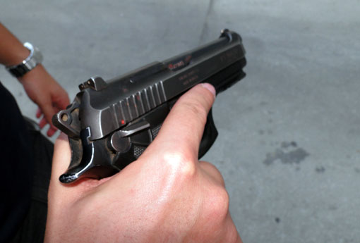 Comissão do Senado rejeita revogação do Estatuto do Desarmamento