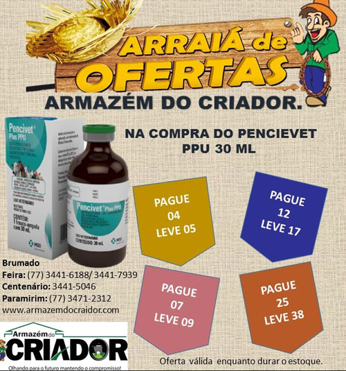 Armazém do Criador: aproveite o Arraiá de ofertas