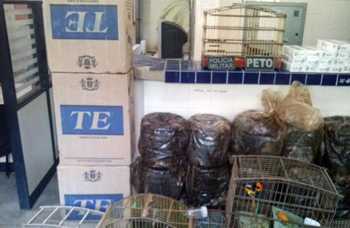 Brumado: PETO apreende cigarros e aves silvestres em residência