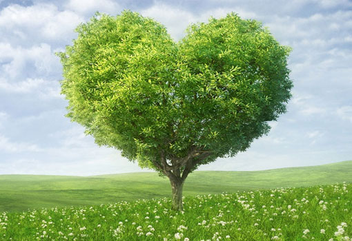 Brumado: Semar celebra o Dia da Árvore e alerta população para importância da arborização na cidade