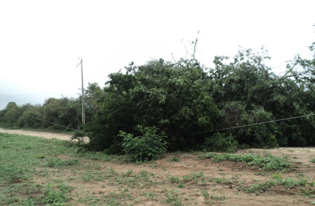 Forte chuva afeta abastecimento de água em Aracatu e Anagé