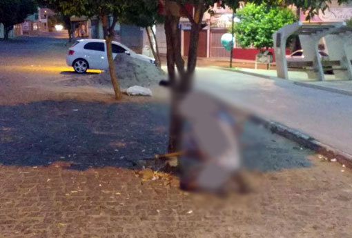 Brumado: árvores são cortadas indiscriminadamente na Praça Heráclito Cardoso