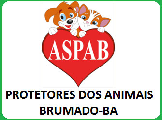 Reunião da Associação dos Protetores de Animais de Brumado