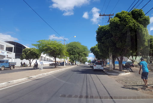 Brumado: enxame de abelhas em árvore da Avenida Centenário preocupa comerciantes