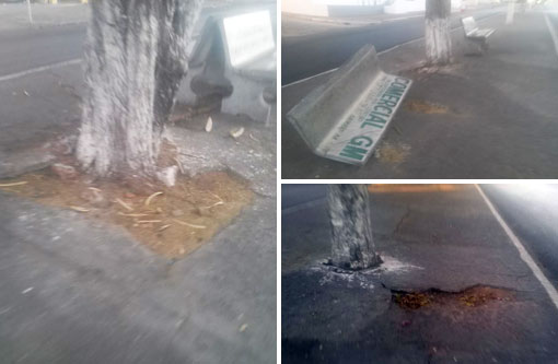 Brumado: Comerciantes e populares cobram recuperação do canteiro centra da Avenida Centenário