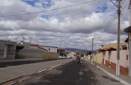 Brumado: Enxame de abelhas invade casa e ataca família