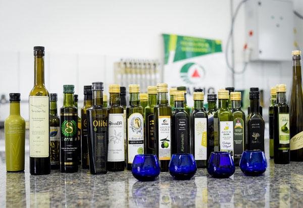 Azeite de Rio de Contas conquista medalha de ouro em concurso realizado em Paris