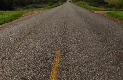 Tanhaçu: Mulher morre após ser atropelada na BA-142