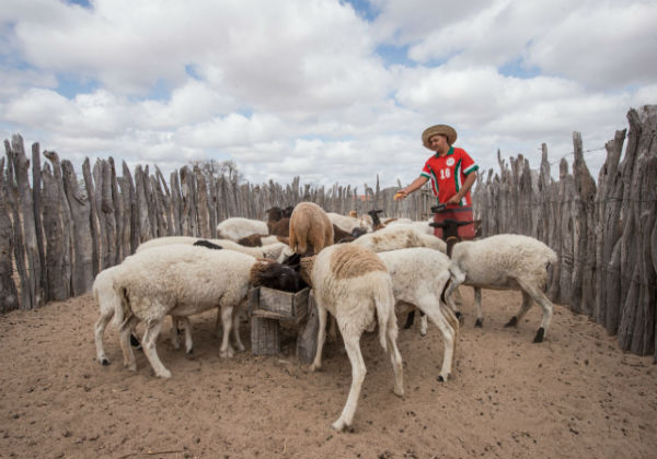 Projeto do Governo do Estado para o desenvolvimento rural é o melhor do mundo em ranking da ONU
