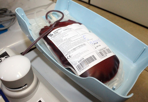 Hemoba alerta para doação de sangue antes de vacina contra febre amarela