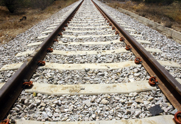 Bolsonaro participa da assinatura de concessão da Fiol em Tanhaçu