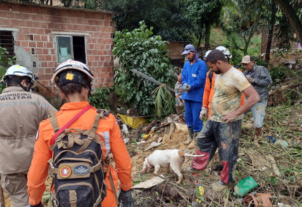 Corpo de Bombeiros da Bahia busca desaparecidos nas enchentes em Pernambuco