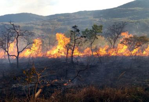 Boquira: Bombeiros controlam incêndio há 10 dias; outras 4 cidades registram fogo