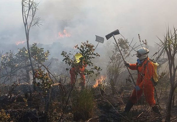 Bahia: 706 focos de queimadas foram registrados em 48 horas; Aracatu é a cidade mais atingida