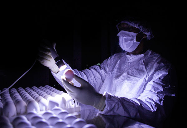 Anvisa aprova início dos testes em humanos da ButanVac, nova vacina do Butantan