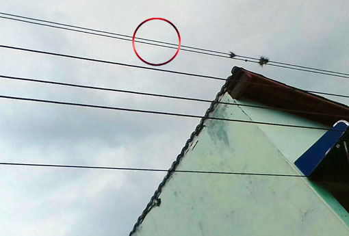 Brumado: cabos da rede de energia elétrica muito próximos preocupam moradores da Rua Virgílio Ataíde
