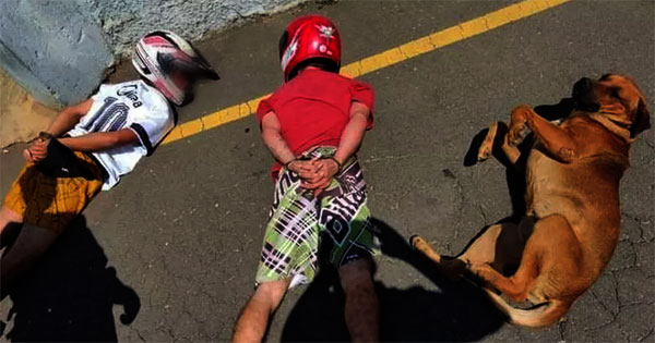 Cachorro se joga no chão ao ver os suspeitos deitados durante a revista